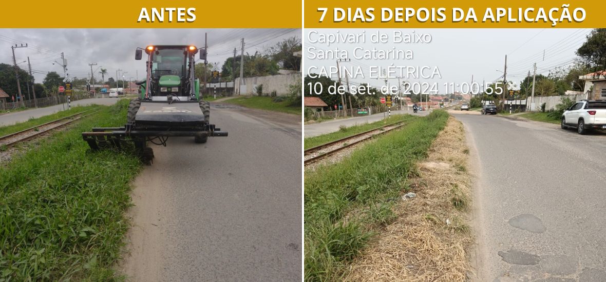 ANTES (1)
