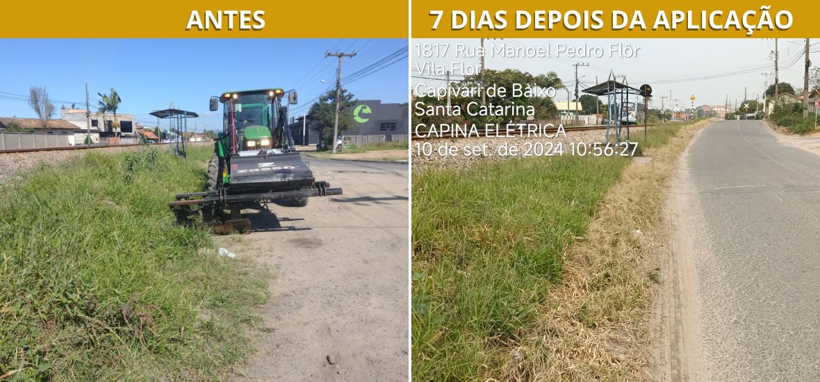 ANTES (2)