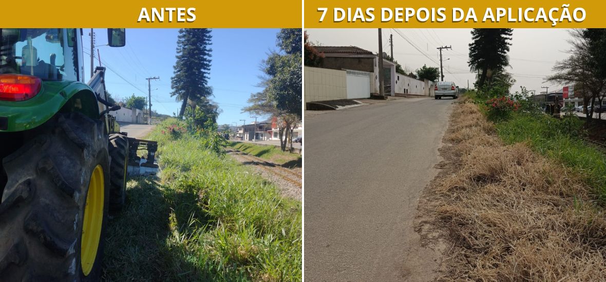 ANTES (3)