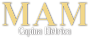 Logo Novo2